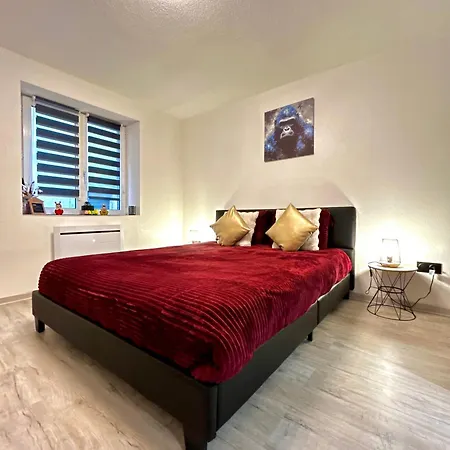 Au Cocon Alsacien Apartment *