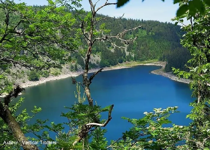 Au Cocon Alsacien شقة فينتزنهايم