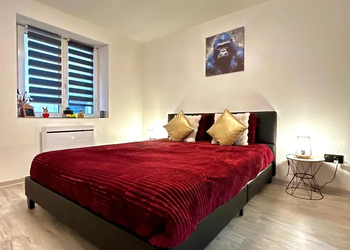 Au Cocon Alsacien Apartment *