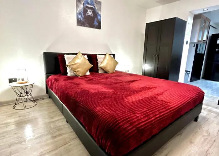 Au Cocon Alsacien Apartment *